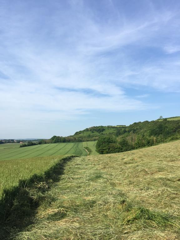 Les Collines Du Breuil Villa Samer Eksteriør billede